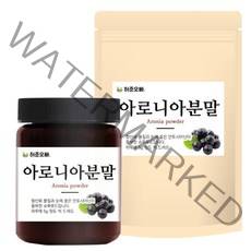 허준오빠 아로니아분말 가루, 1개, 1. 아로니아가루 100g (병포장)