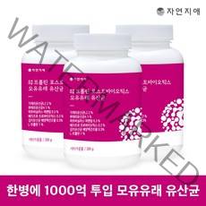 자연지애 프리미엄 프롤린 포스트바이오틱스 모유유래 유산균 200g, 3개