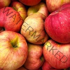 때깔찬 홍로 가을사과 실중량 9kg, 가을사과 9kg (중소과/52과내외)