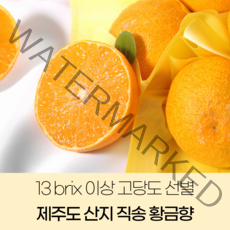 [최저가 도전] 제주 산지직송 고당도 황금향 천혜향 가정용, 로얄과 2kg