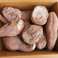 젊은농부 22년 햇 꿀고구마 호박고구마 실속형 못난이고구마(비품), (비품)실속형 호박고구마 못난이10kg