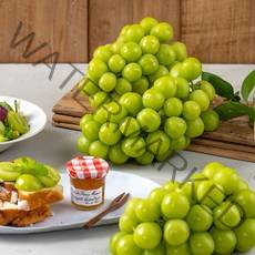 더자인 경산 에어포장 샤인머스켓 특 2Kg (4-5수), 단품