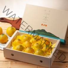 (깨비농원)고당도 황금향 선물세트 3kg 대과(7-10과), 황금향 선물세트 3kg 대과(7~10과)