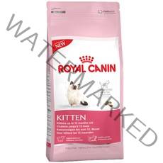 로얄캐닌 키튼 건식사료, 2kg, 1개