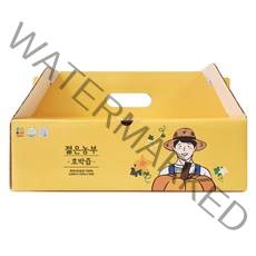 젊은농부 호박즙, 30개, 100ml