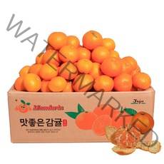 제주 햇 노지 조생 감귤 / 실중량, 감귤 4.5kg 로얄소과(2S-M) 실중량