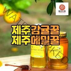 제주 천연벌꿀 100% 메밀꿀 감귤꿀 바퀴달린집꿀 메밀꽃꿀 농장 산지직송, 감귤꿀 500g