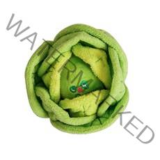 바잇미 강아지 삑삑 바스락 양배추 킁킁볼 노즈워크 장난감, 1개, 그린