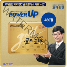 고려은단 골드플러스 비타민C 업그레이드 파워업 16개월분 면역 건강기능식품 480정, 480정x1박스