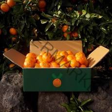 [리뷰확인필수] 당도엄선 제주 감귤 2kg / 3kg / 5kg / 10kg 하우스감귤, 소과(2S) 5kg