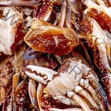 [지금특가] 진짜참진 한입게장 100%수율보장, 초신선 간장게장 1kg