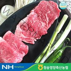 청송영양축협 1등급 명품 한우 채끝 300g, 단품