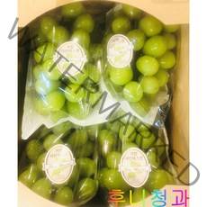 [후니청과] 2kg 4kg 달달 아삭 샤인머스켓, 1kg(실속형)