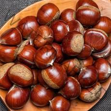 햇 알밤, 햇알밤 (대) 5kg