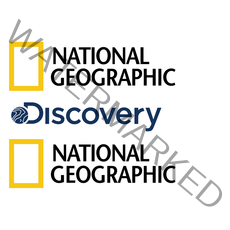 투명 차량용데칼 방수데칼 감성 캐리어 카라반 캠핑 차량용 로고 네셔널지오그래픽 디스커버리 스노우픽 대량 모음 세트, 혼합세트