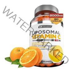 비토로지랩스 리포조말 비타민C 2000mg 180캡슐