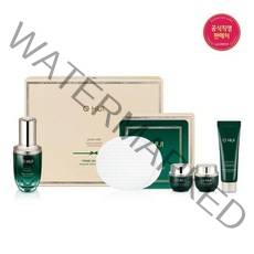 오휘프라임 어드밴서 앰플 세럼 20ml 기획세트