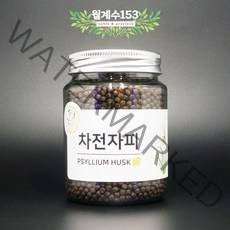 월계수153 차전자피환 500g, 1개, 250g