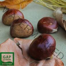 안녕이네 공주 정안밤 햇밤 알밤 조생밤 칼집밤(옵션선택) 2kg 국내산 GAP, 1박스, 알밤2kg(대)