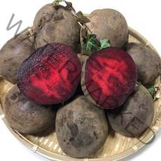 국내산 레드비트 1kg 3kg 5kg 10kg 특품 빠른배송 산지직송, 1box