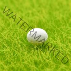 실바니안 패밀리 두더지 고양이 액세서리 홈 랜드샤프트 미니어처 DIY 미니 암탉 장식, 01 egg 2pcs