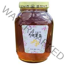 지리산 청정지역 진주꽃꿀 야생화, 2.4kg, 1개