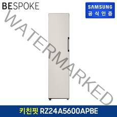 삼성 비스포크 1도어 냉동고 새틴베이지 RZ24A5600APBE, 기타
