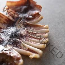 피데기 10미 반건조오징어 당일바리 마른오징어 포항덕장 주전부리, 250g 5미