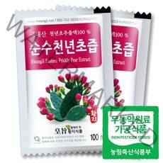 황지네이처 국내산 무농약 순수 천년초즙 100ml 60개