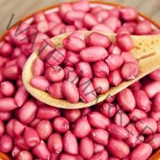 알큰사이즈 21년산 생빨간땅콩, 2.5KG