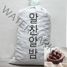 [시온견과] 알밤(중)20kg, 1포, 20kg