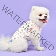 올치 강아지 고양이 깡총 민소매 티셔츠, 핑크