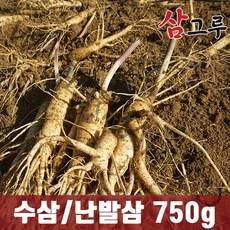 금산인삼 5년근 6년근 수삼 난발삼 원수삼 세척무료 750g 1채, 무료세척-난발 대 750g 6-8뿌리