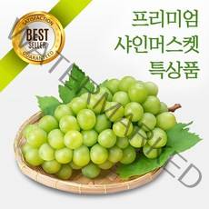 프리미엄 고당도 샤인머스켓, 백화점 납품용 특상품 2kg 2~3송이