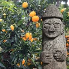 먹사부 [산지직송] 프리미엄 제주도 노지감귤 하우스 귤 고당도 조생귤 밀감 2kg 3kg 5kg 꼬마과 소과 로얄과 중과 대과, B.로얄소과 5kg(4.5kg)