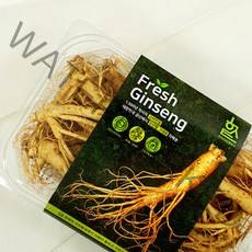 고려인삼 자연그대로 금산 생인삼 9호