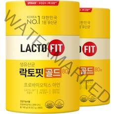 종근당건강 락토핏 골드 80p, 160g, 2개입