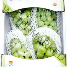 [블랙애플] 시원한고당도샤인머스켓 4수2kg, 행사)샤인머스켓2kg