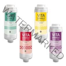 VEE977293비타민필터, 장미