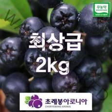 유기농 초례봉아로니아생과 최상급 2kg / 농장 당일수확배송