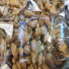 [수다모아]서울경기(일부지역제외) 당일배송 산소포장 국내산 오만둥이 500g 1000g, 800g