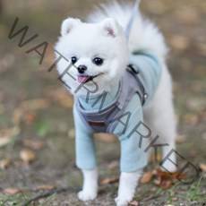 지앤비 미즈펫 야간 빛 반사 세이프 강아지 하네스 + 리드줄, 그레이