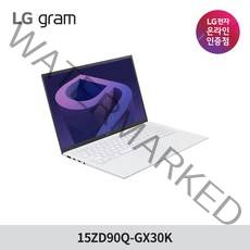 LG전자 12세대 그램15 15ZD90Q-GX30K 인텔i3 256G 8G 가벼운 노트북 추천, Free DOS, 8GB, 256GB, 코어i3, 스노우 화이트