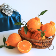 산지직송 제주 한라봉 명품 선물용 프리미엄 설, 로얄과 2kg