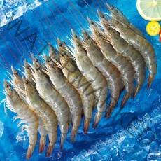 [다이아몬드새우] 프리미엄 흰다리새우500g (1팩당 40마리), 1팩, 500g