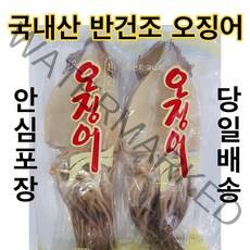 유성일등 동해안 쫄깃쫄깃 반건조 오징어, 10마리, 1.2kg (大)