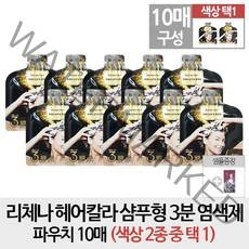 리체나 [무료배송- 순수증정- 리체나10매] 헤어칼라 샴푸형 3분 염색제 파우치 10매 (색상 택1), 1개, 부드러운 갈색