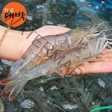 [ 2022년 흰다리새우] 국내산 왕새우 1kg 급냉 대하, 1box, 흰다리새우(급냉) 1kg