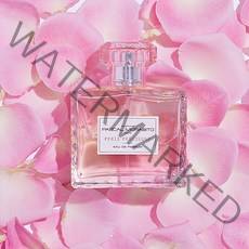 파스칼모라비토 펠리 프리시우스 오드퍼퓸, 100ml