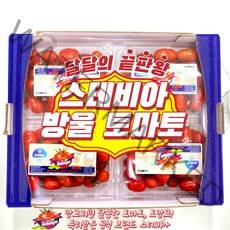 [토망고] 고당도 스테비아 방울 토망고 500g x 2팩 500g x 4팩